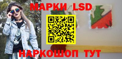 индика Камышлов