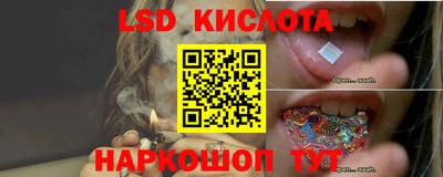 индика Камышлов