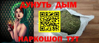 индика Камышлов