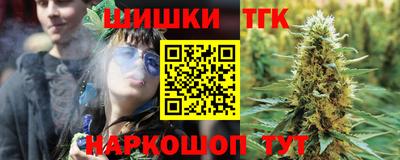 индика Камышлов