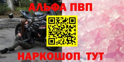 индика Камышлов