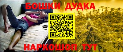 индика Камышлов
