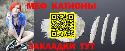 индика Камышлов